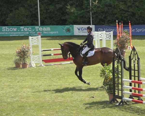 Reitturnier Scharnebeck 2024