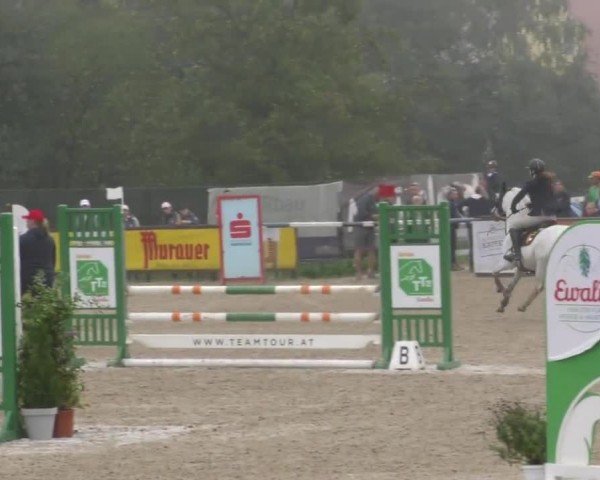 Reitturnier Gniebing-Feldbach 2022