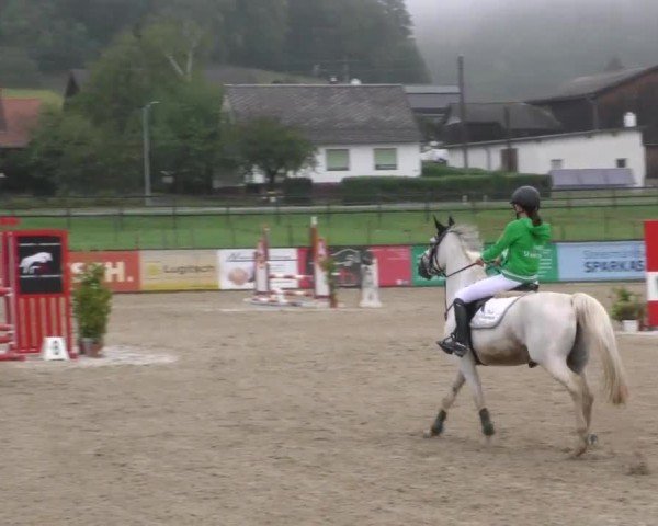 Reitturnier Gniebing-Feldbach 2022