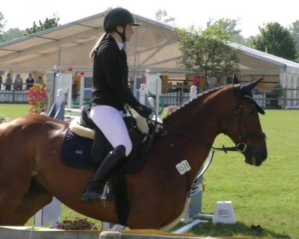 Reitturnier Wilkenburg 2024