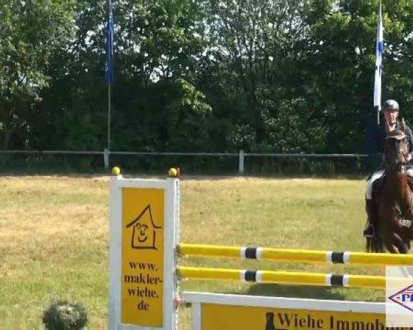 Pfingst-Reitturnier Kreuzkrug-Raddestorf 2012