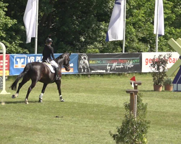 Reitturnier Scharnebeck 2024