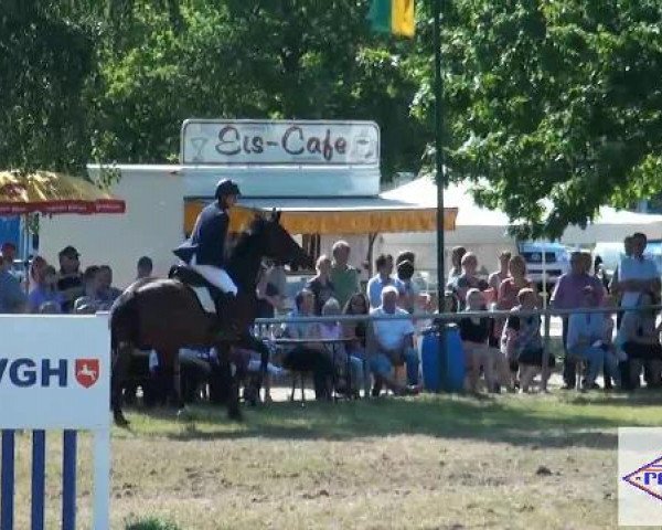 Pfingst-Reitturnier Kreuzkrug-Raddestorf 2012