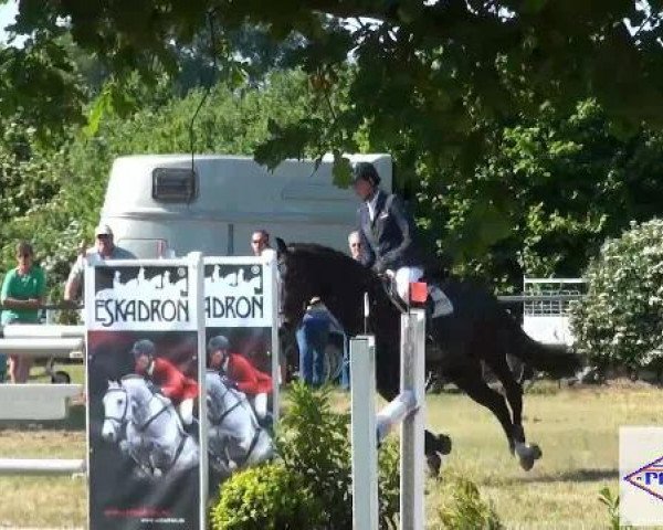 Pfingst-Reitturnier Kreuzkrug-Raddestorf 2012