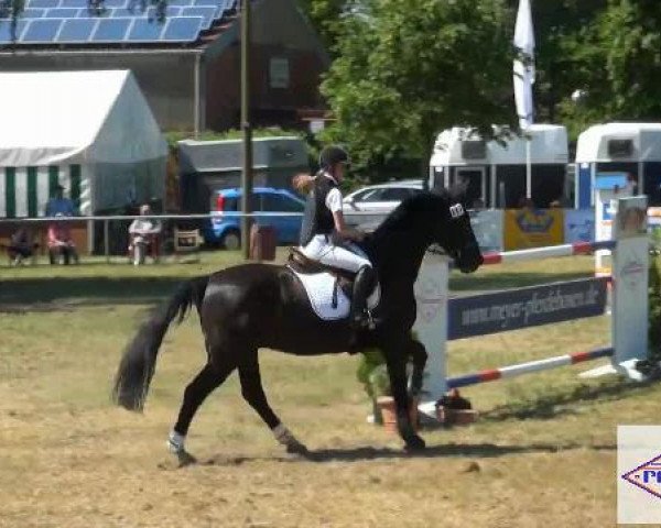 Pfingst-Reitturnier Kreuzkrug-Raddestorf 2012