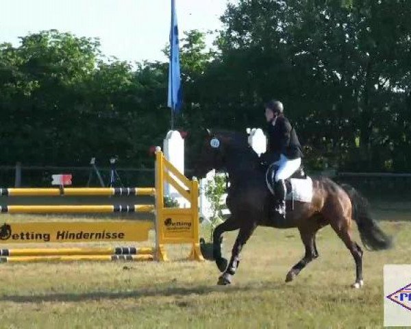 Pfingst-Reitturnier Kreuzkrug-Raddestorf 2012