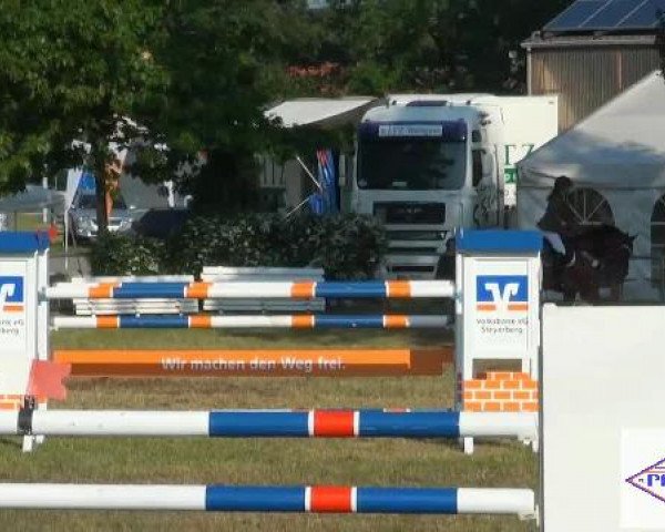Pfingst-Reitturnier Kreuzkrug-Raddestorf 2012