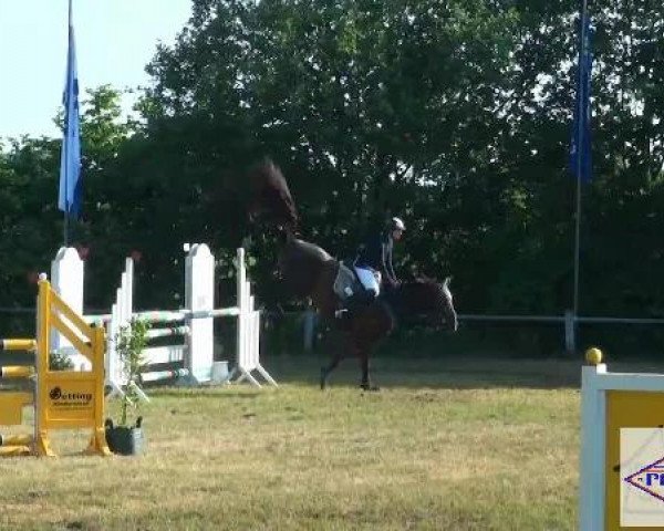 Pfingst-Reitturnier Kreuzkrug-Raddestorf 2012