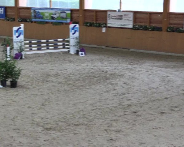 Ponyturnier Xanten - Reitanlage Miss 2021