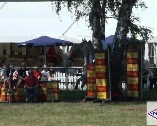 Pfingst-Reitturnier Kreuzkrug-Raddestorf 2012