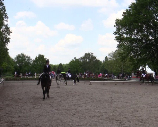 Reitturnier Hamm-Rhynern 2024