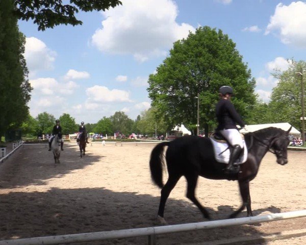 Reitturnier Hamm-Rhynern 2024