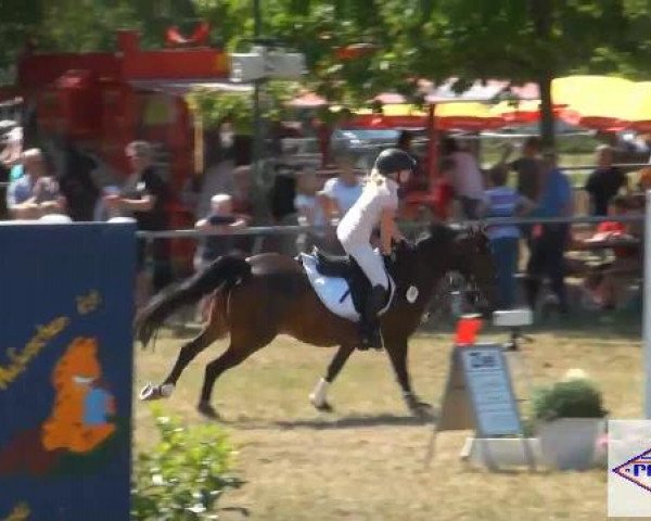 Pfingst-Reitturnier Kreuzkrug-Raddestorf 2012