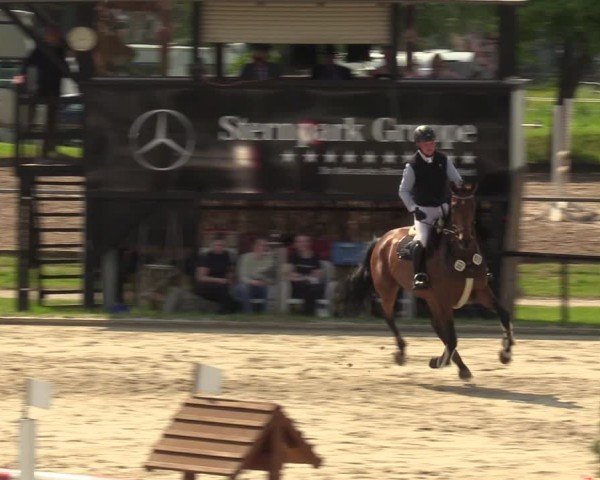 Reitturnier Hamm-Rhynern 2024