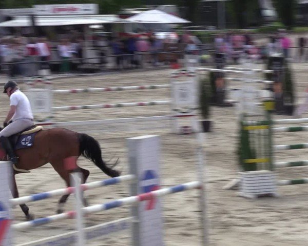 Reitturnier Hamm-Rhynern 2024