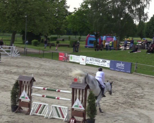 Reitturnier Hamm-Rhynern 2024
