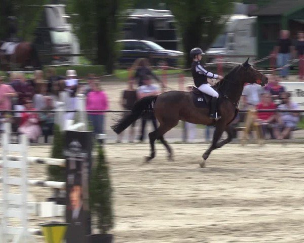 Reitturnier Hamm-Rhynern 2024