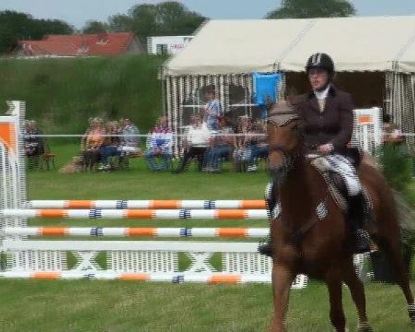 Großes Sommerturnier in Hille 2012
