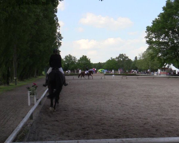 Reitturnier Hamm-Rhynern 2024