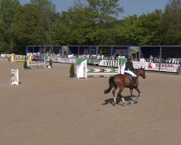 Reitturnier Hellefeld 2024