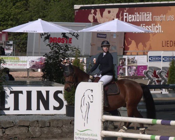 Reitturnier Hellefeld 2024