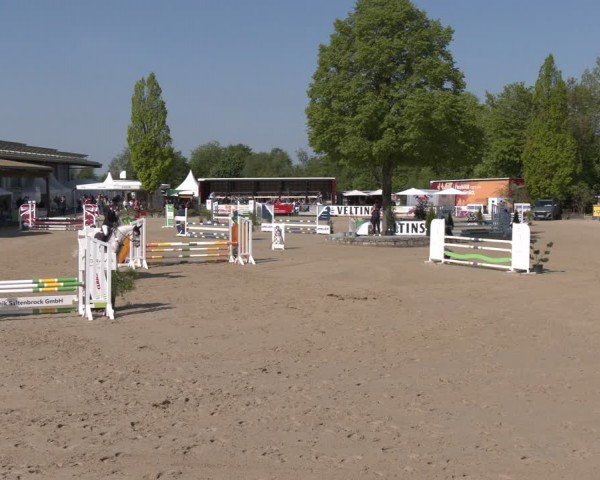 Reitturnier Hellefeld 2024
