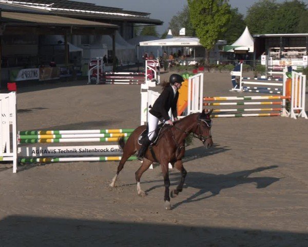 Reitturnier Hellefeld 2024