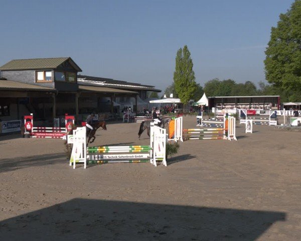 Reitturnier Hellefeld 2024