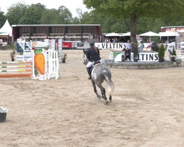 Reitturnier Hellefeld 2024