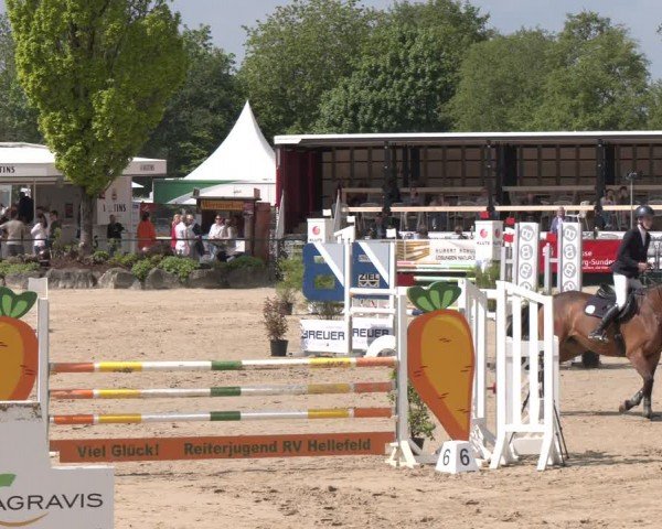 Reitturnier Hellefeld 2024