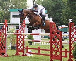 broodmare Minzlady (Trakehner, 2006, from Heops)