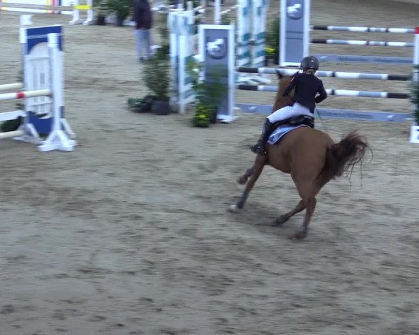 Ponyturnier Xanten - Reitanlage Miss 2021