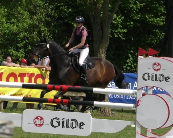 Reitturnier Wilkenburg 2024