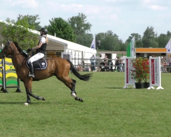 Reitturnier Wilkenburg 2024