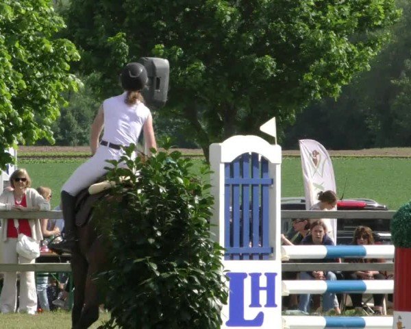 Reitturnier Wilkenburg 2024