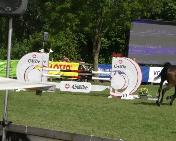 Reitturnier Wilkenburg 2024