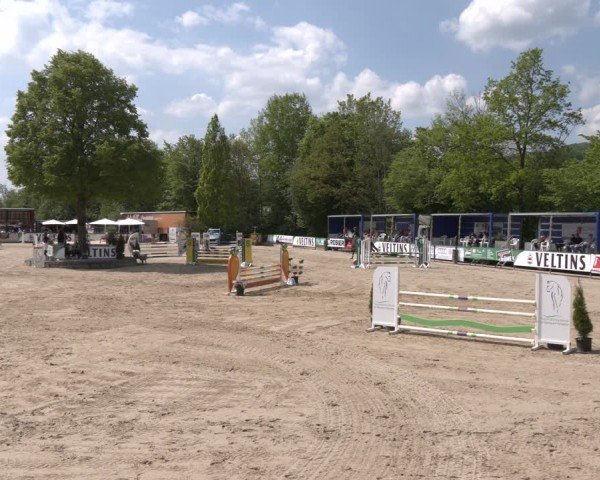 Reitturnier Hellefeld 2024