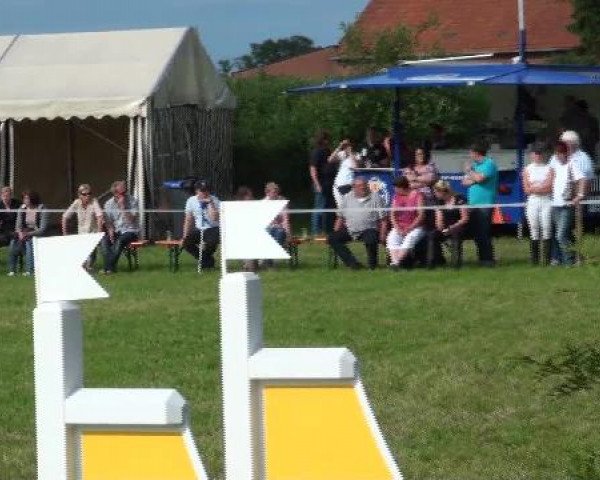 Großes Sommerturnier in Hille 2012