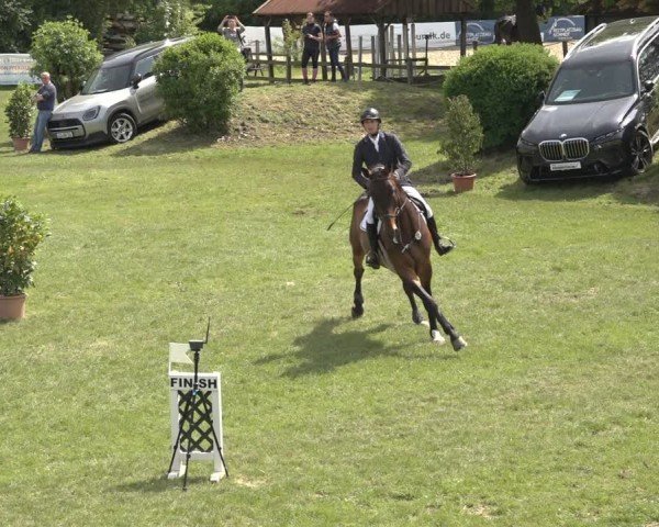 Reitturnier Scharnebeck 2024