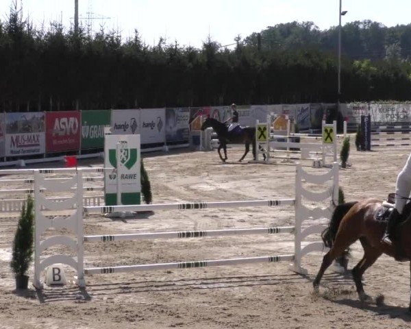 Reitturnier Preding 2022
