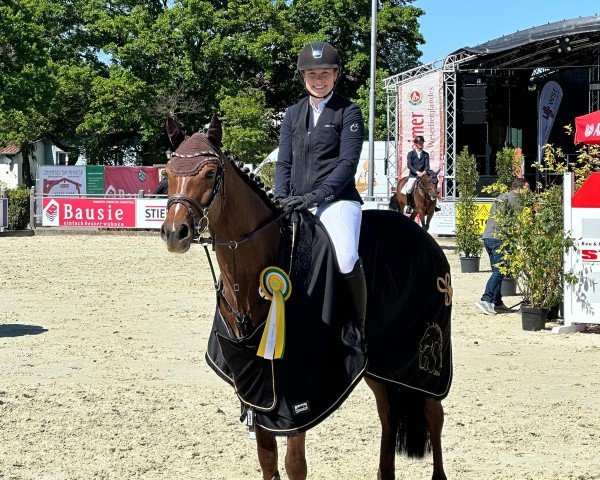 broodmare Coeur de Colien M (Westphalian, 2019, from Cascadello)