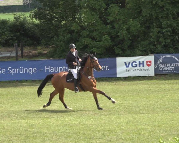Reitturnier Scharnebeck 2024