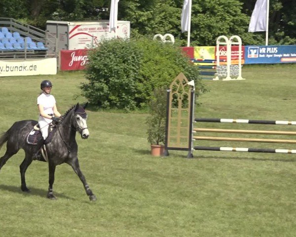 Reitturnier Scharnebeck 2024