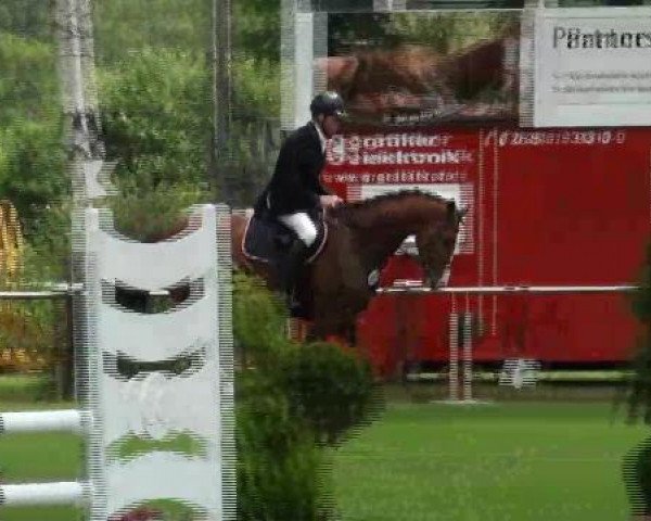 Großes Sommerturnier in Hille 2012