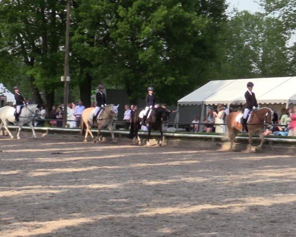 Reitturnier Hamm-Rhynern 2024