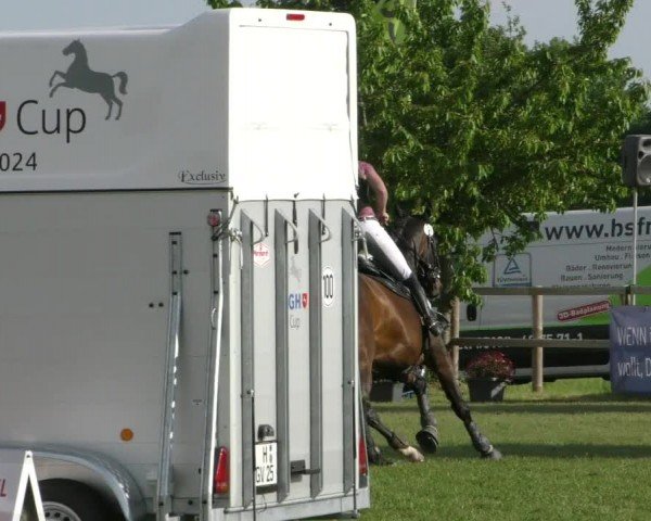 Reitturnier Wilkenburg 2024