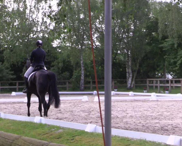 Reitturnier Lienen 2024