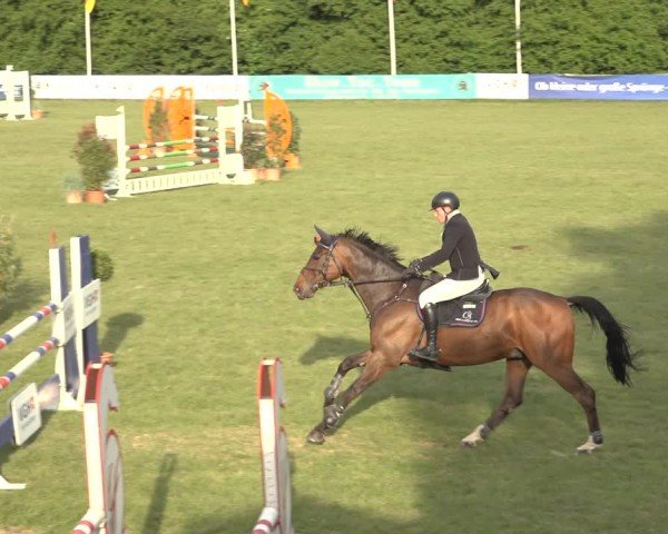 Reitturnier Scharnebeck 2024
