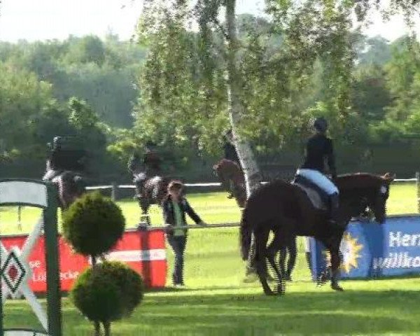 Großes Sommerturnier in Hille 2012