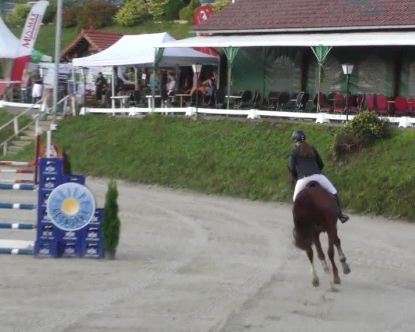 Reitturnier Preding 2022